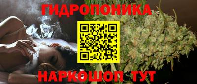 мяу мяу мука Комсомольск-на-Амуре