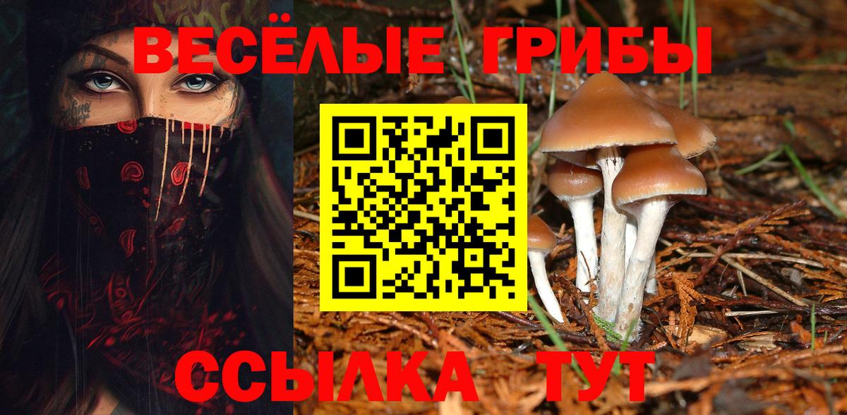 Галлюциногенные грибы GOLDEN TEACHER Кстово